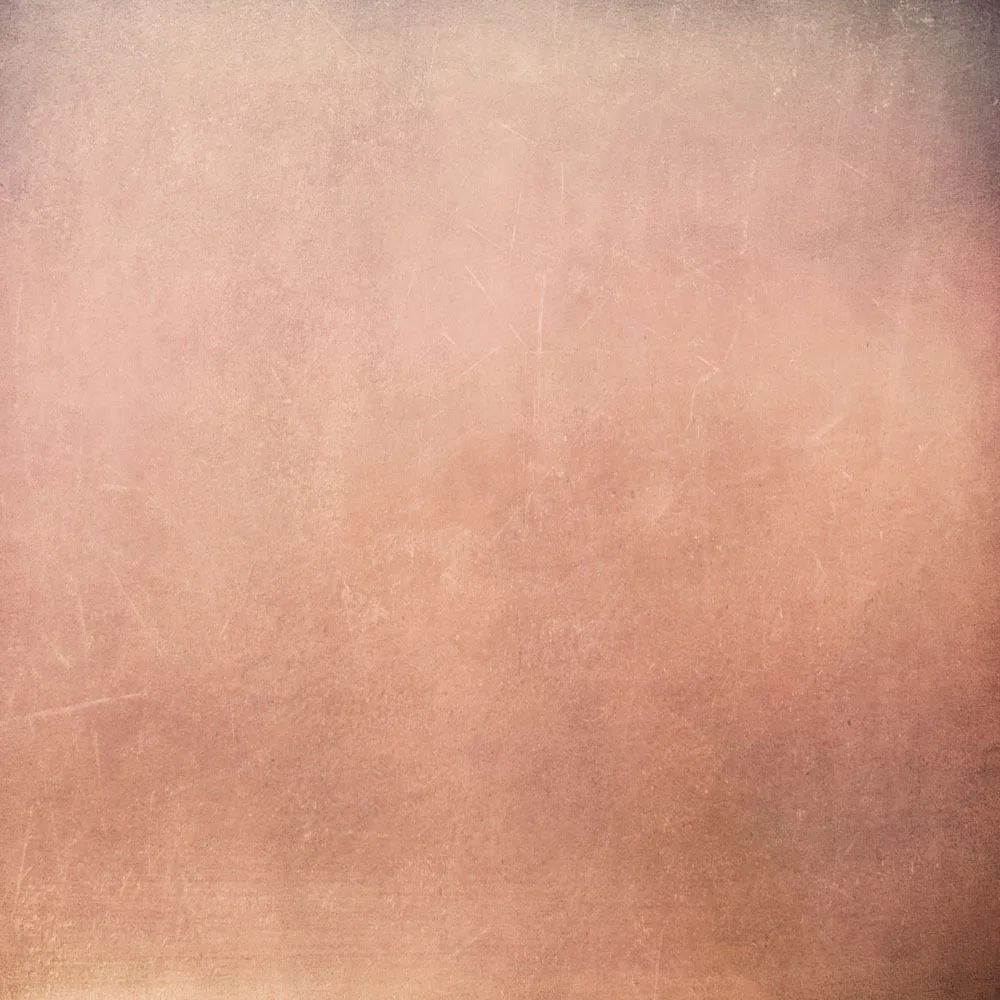 

SHANNY 10X10ft Vinyl Custom Wall Photography Backdrops Prop Photography Studio Background TWQ-05