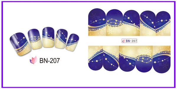 BN207