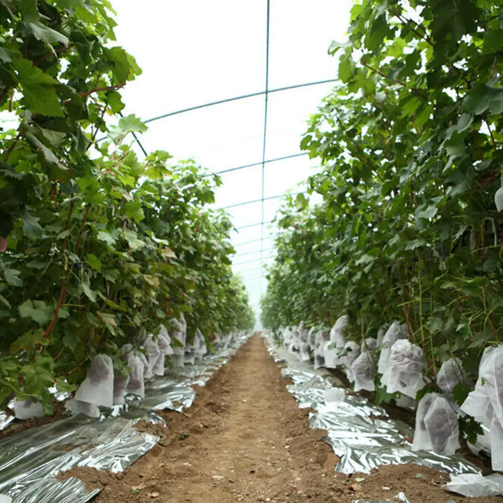 

50pcs 15*25cm Garden Protection Mesh Bag Against Insect Pest Bird Plant Fruit Protect Drawstring Nylon Seed Net Bag