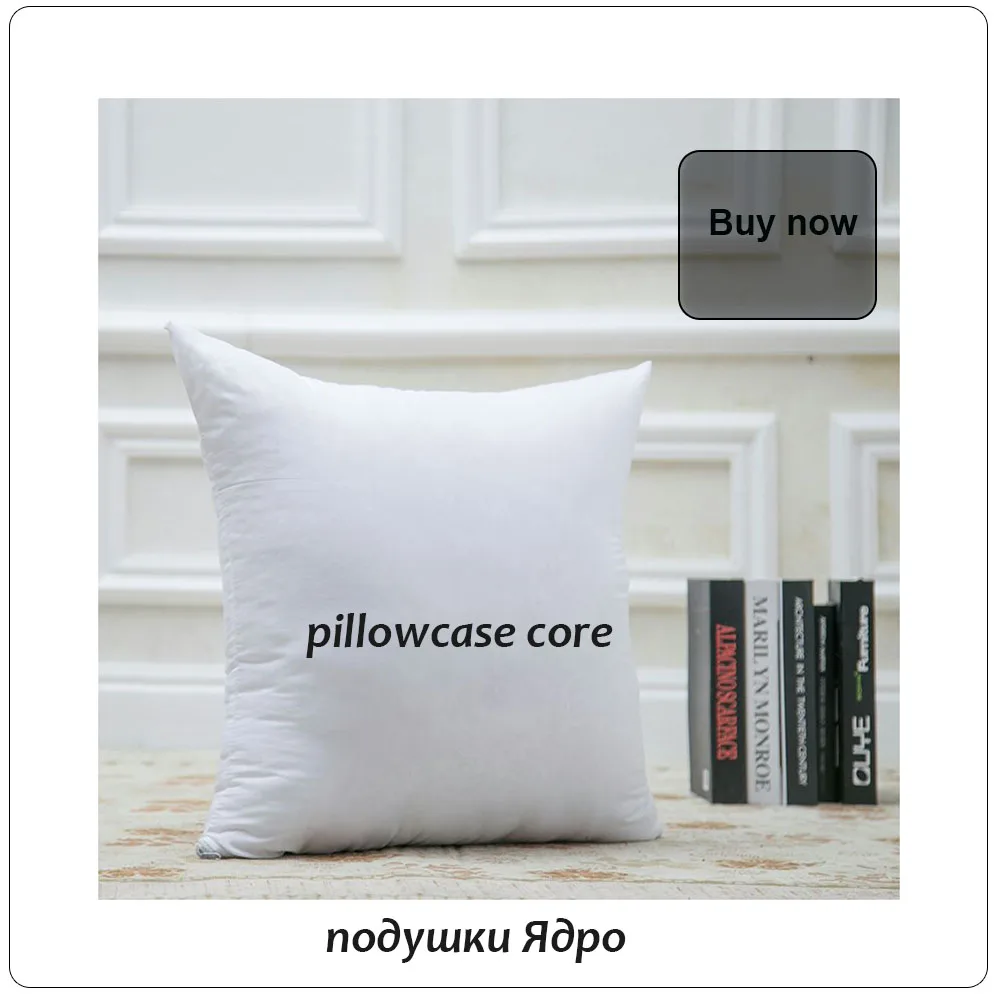pillow core2