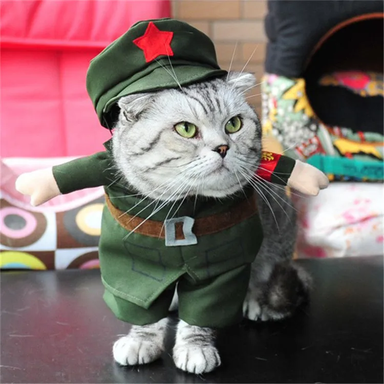 Costume (3)