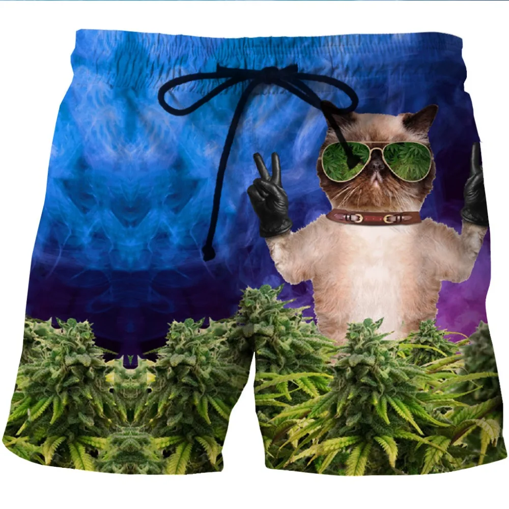 LOVE SPARK Mens Sports Shorts Funny Glass Cat 3D Print Fast Dry Boys