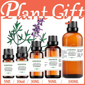 

100% pure plant Herbal medicine oils rhizoma corydalis herbal oil