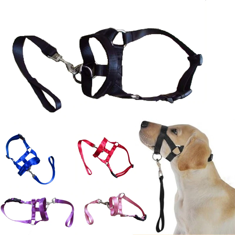 Buy Nylon Dog Head Collar Dog Training Halter Four