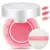 BIOAQUA Air Cushion Blusher Palette BB Cream Makeup Mineral Blush Powder Brighten Concealer Long Lasting Foundation Beauty L