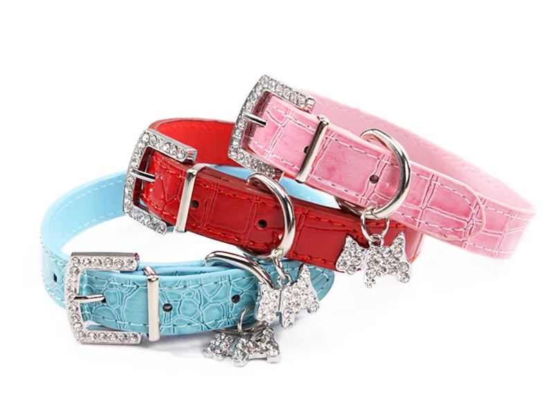6 dog accessories 