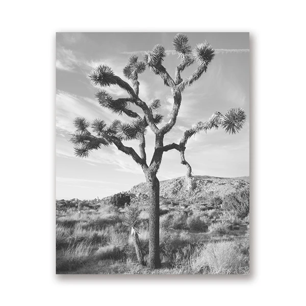 Diamond Painting Joshua Tree Art Cross Stitch Diamond Embroidery Patterns Rhinestones Diamond Mosaic Diamond Painting Cross Stitch Aliexpress