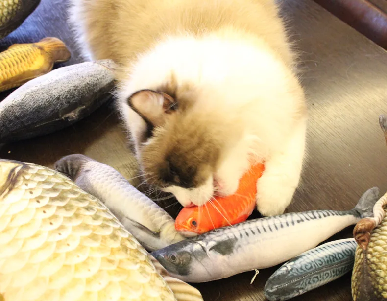 Pet Soft Plush 3D Fish Shape Cat Toy Interactive Gifts Fish Catnip Toys Stuffed Pillow Doll Simulation Fish Playing Toy For Pet