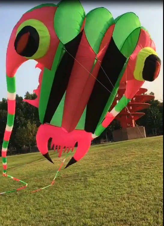 big kites for sale near me big kites for sale near me