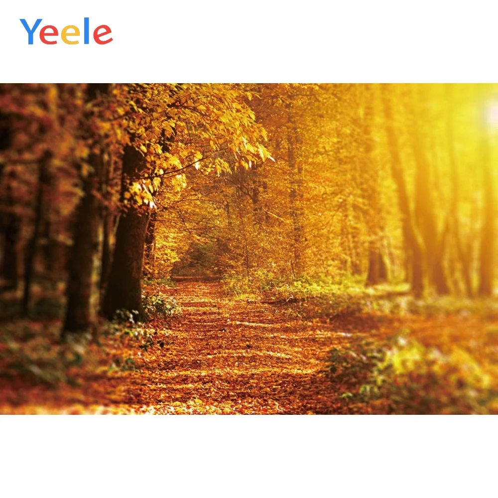 Виниловый фон для студийной фотосъемки Yeele с изображением осеннего леса дерева