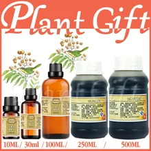 Растительный экстракт мыльной ягоды сапиндуса, отбеливание кожи, защита от акне и акне