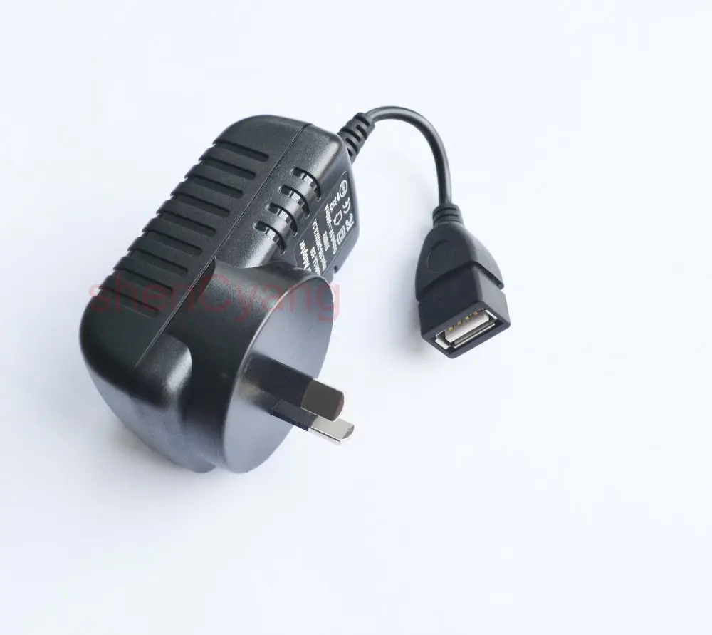High quality 100pcs 5V3A USB charger 3A usb power adapter AU Plug 5V 3A