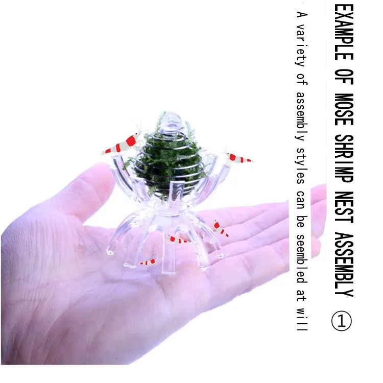 08_conew1