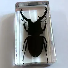 Скидка распродажа креативный MO 2 Мода образцы книги инструменты подарок для украшения дома