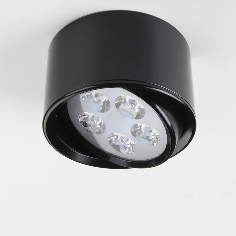Aisilan светодиодный светильник поверхностного монтажа потолочные лампы Регулируемый AC85-260V 5 Вт для гостиной, спальни, кухни, офиса, коммерческого использования