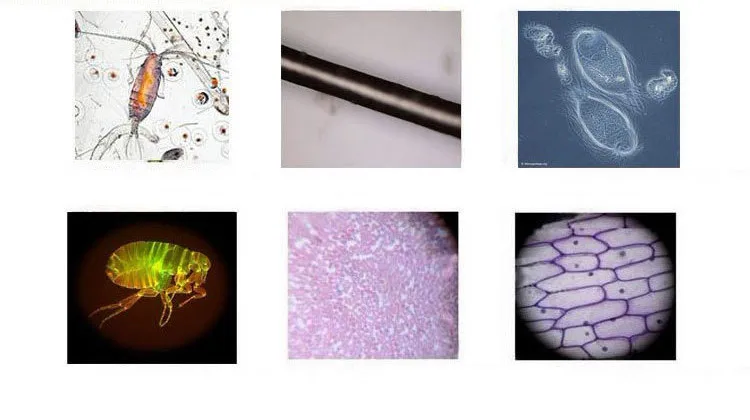 science toys (1)