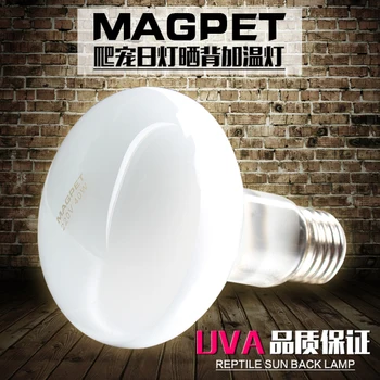 

Tortoise Lamp Backlight Tortoise Light Bulb Feeding Box Turtle Lamp