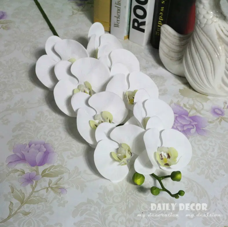 3126880067_1590719551