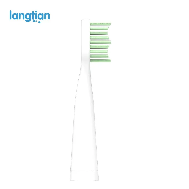 TOOTHBRUSH HEADS (2)