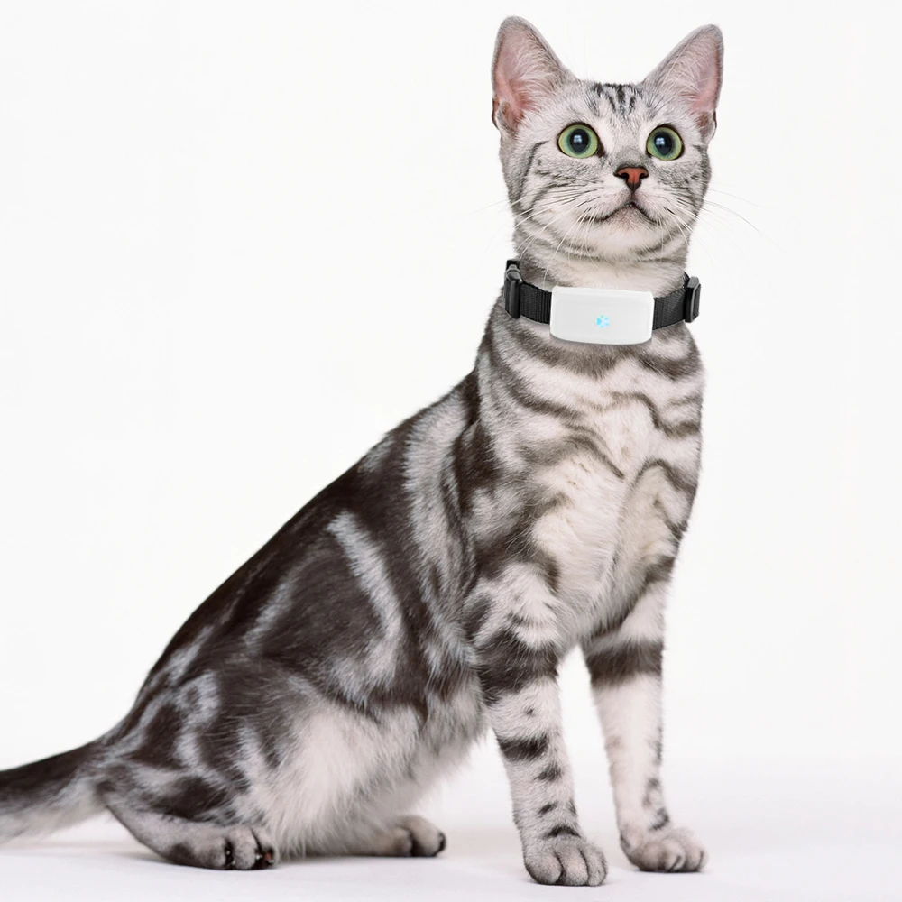 

Real time Wifi GPS Tracker TKSTAR TK911 for Pets Tracking Device GPS Locator long standby 500mAh Free Web/APP Tracking no box