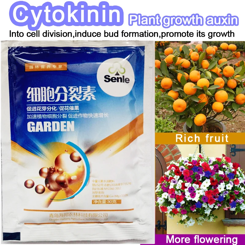 

Cytokinin Plant Hormones Improve Vegetable Flower Fruit Tree Better Product And Grow Delaying leaf senescence For Garden Bonsai