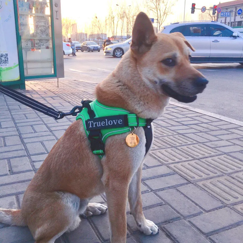 Truelove спортивный нейлоновый Светоотражающий Поводок для собак, для улицы, для собак, аксессуары для домашних животных, Регулируемый жилет для собак, грудь для больших собак