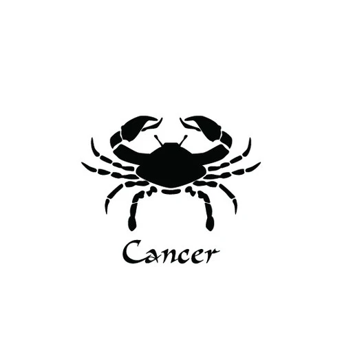 Mibrow модный кожаный браслет с 12 знаками Зодиака для мужчин и женщин, Дева весы, Скорпион, Телец, мужские браслеты, мужские ювелирные изделия - Окраска металла: Cancer