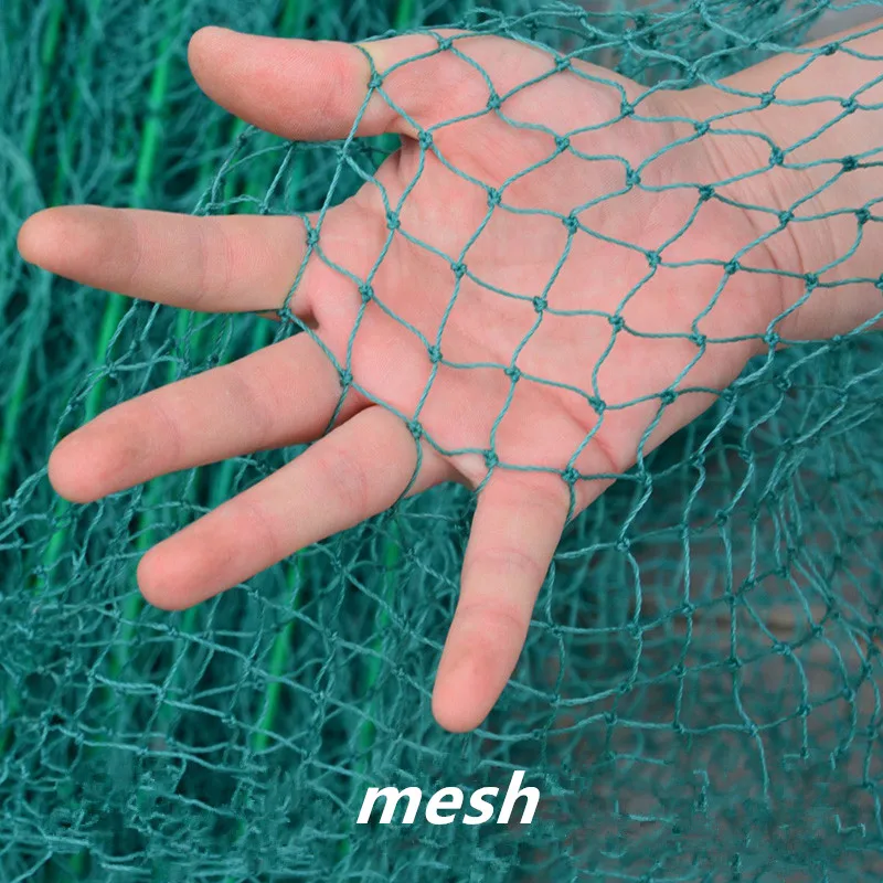 1536204231087_