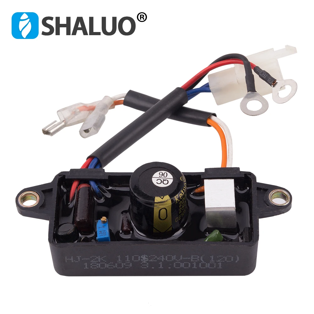 3KW gas AVR (3)