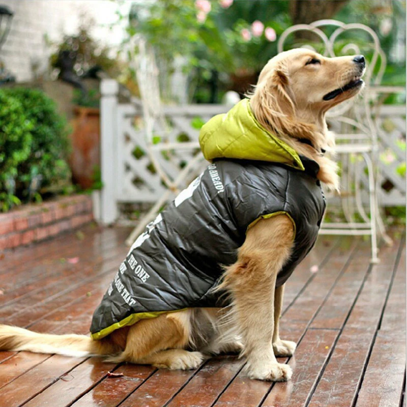 Ropa de invierno para perros grandes, abrigo grande, producto de alta calidad para mascotas, chaqueta acolchada de algodón, 1 for dog|clothes for large dogsdog for winter - AliExpress