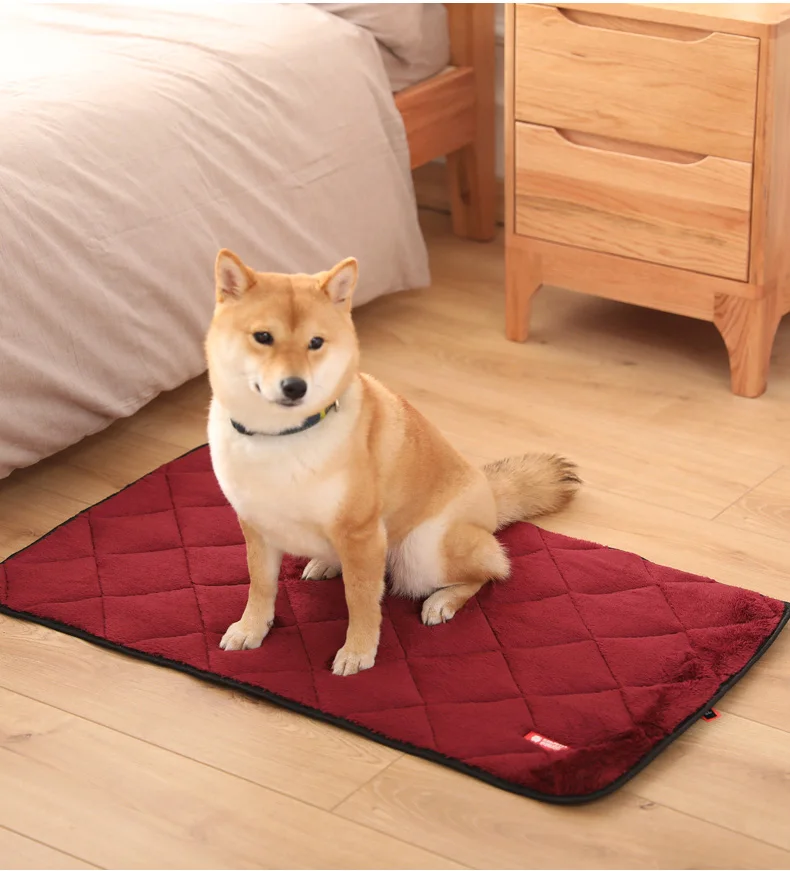 O1CN01Ye27dG1cc0F9GWLAU_!!3078263620