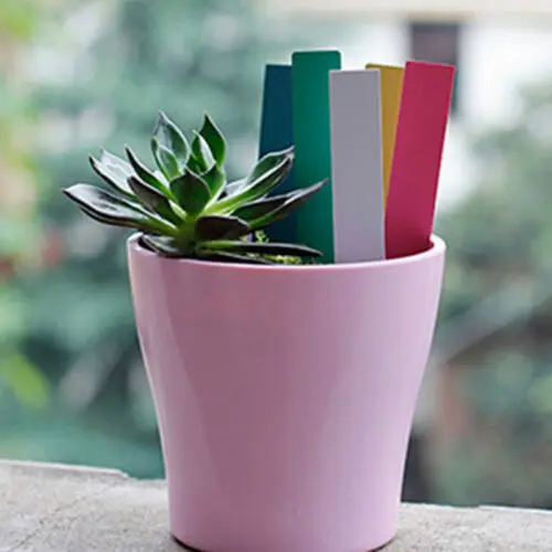 100Pcs New Garden Plant Pot Markers Plastic Stake Tags Yard Court Nursery Plants Seed Label 100Pcs New Garden Plant Pot Markers Plastic Stake Tags Yard Court Nursery Plants Seed Label