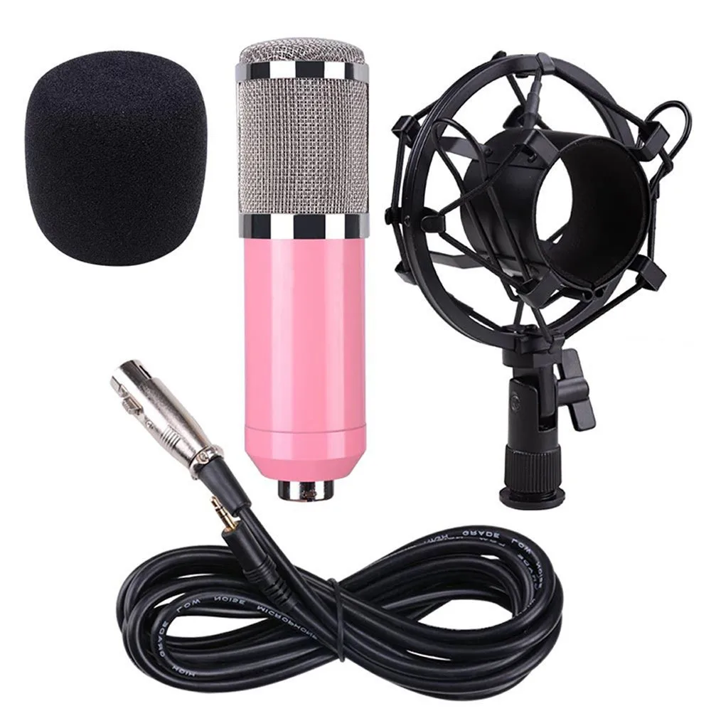 

Condenser Pro Audio BM800 Microphone Sound Studio Dynamic Mic Shock Mount using at the conference room the public place