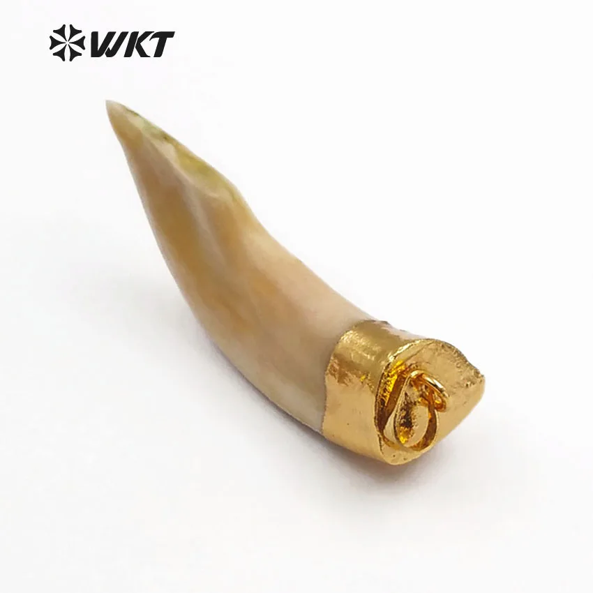 WT P241 WKT оптовая продажа оригинальная Волчья подвеска в форме зуба с крышка