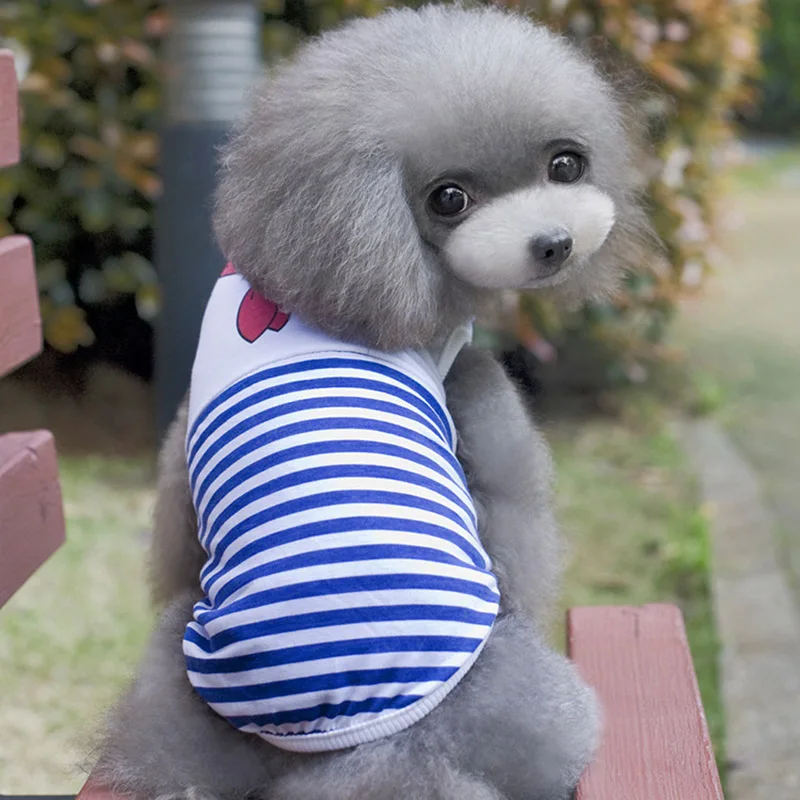 Blue stripe dog vest