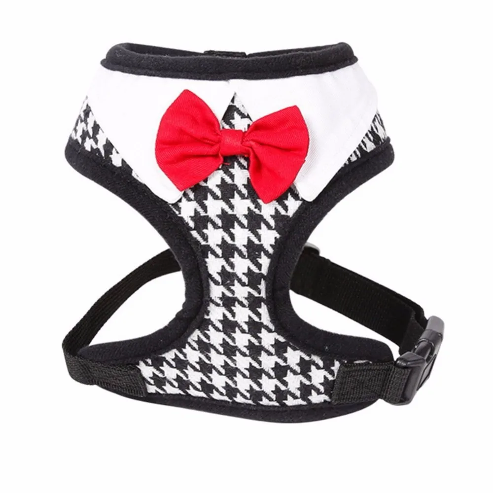 61zNSbJw3fL._SL1001_