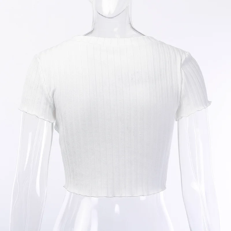 10895119856_2146010042