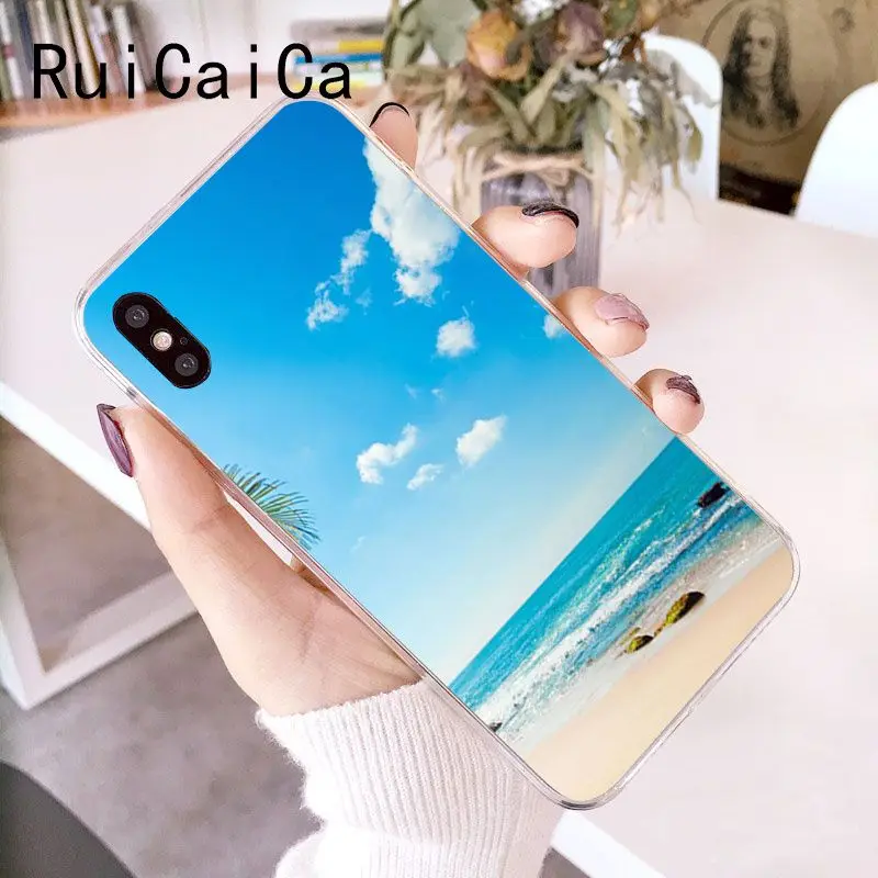 Clear sea sky beach starfish