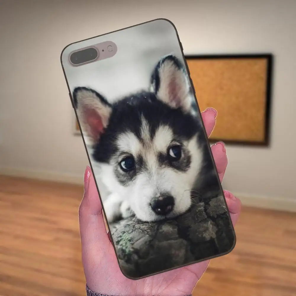 Diy рисунок ТПУ для Huawei Honor 5A 6A 6C 7A 7C 7X 8A 8C 8X 9 10 P8 P9 P10 P20 P30 Mini Lite Plus животное Хаски щенок