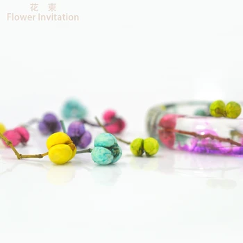 

Flower Invitation Color manual dry fruit flower plant specimens of Chinese tallow seed natural dried flowers