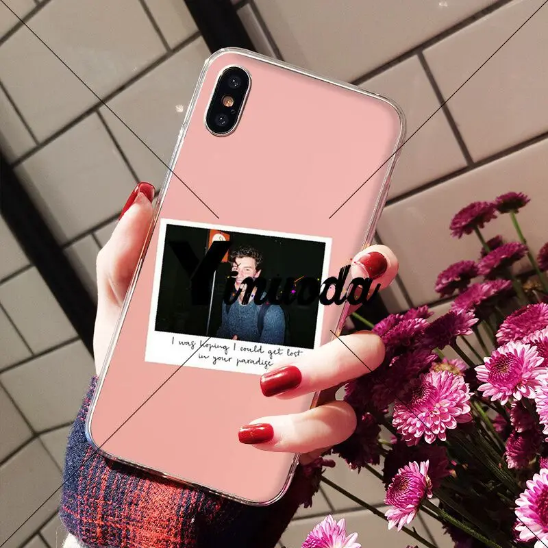 Hit pop singer Shawn Mendes love
