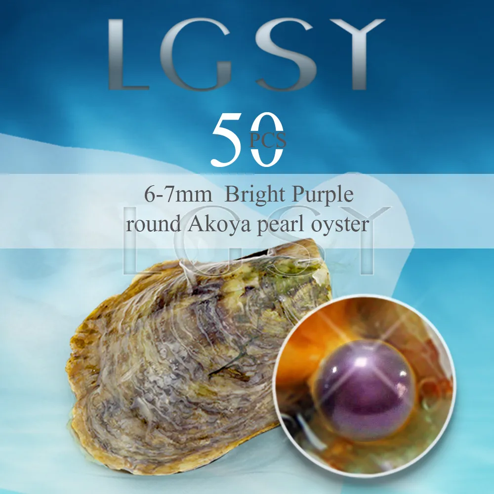 

Bead wholesale Bright Purple pearls 50pcs vacuum-packed oysters with 6-7mm round akoya pearls