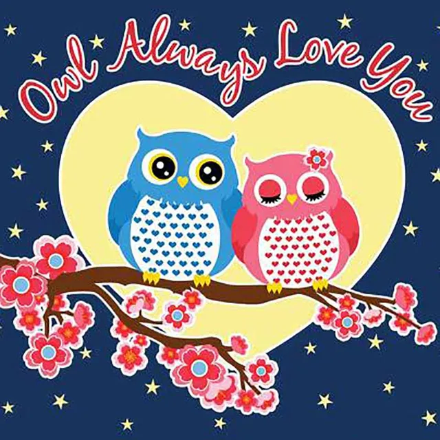 670 Gambar Lucu Burung Hantu Terbaik