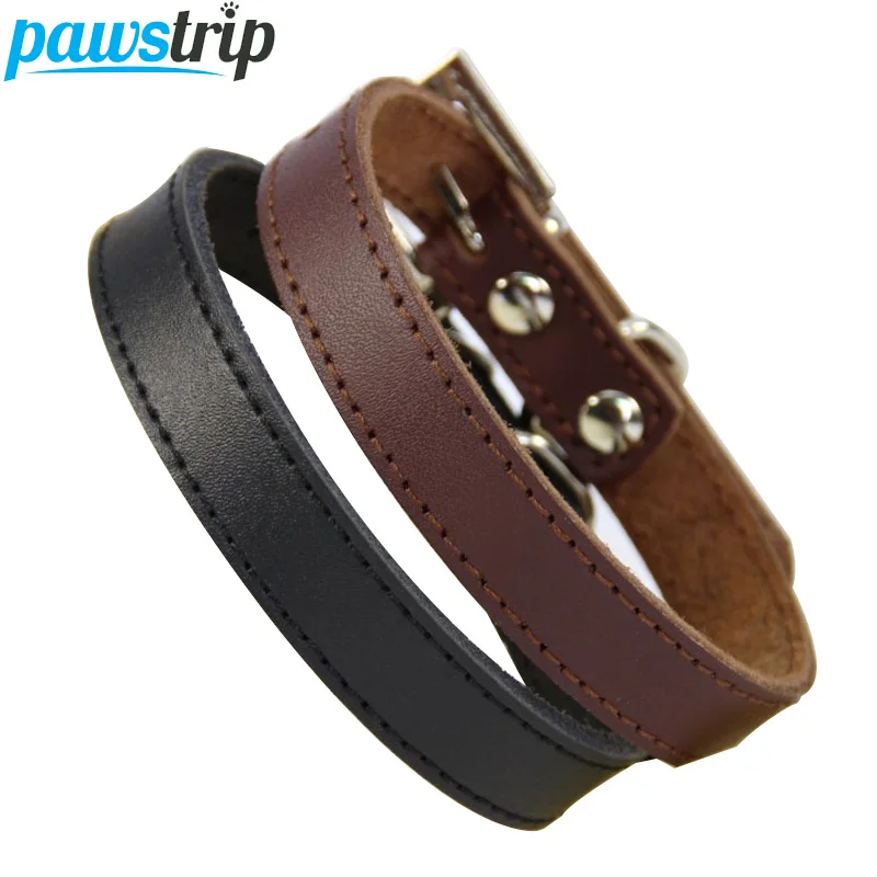 Genuine Leather Dog Collar Simple Design Durable Chihuahua ...