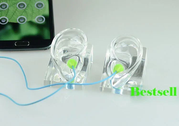 

Free Shipping!! Best Quality High Level Clear Ear Model Ear Mannequin Fashionable For Earphone Display