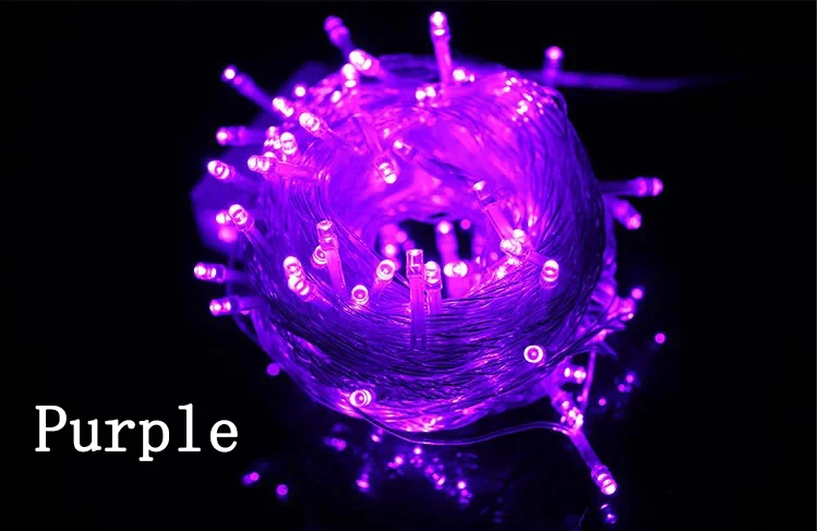 3847255856_92943588