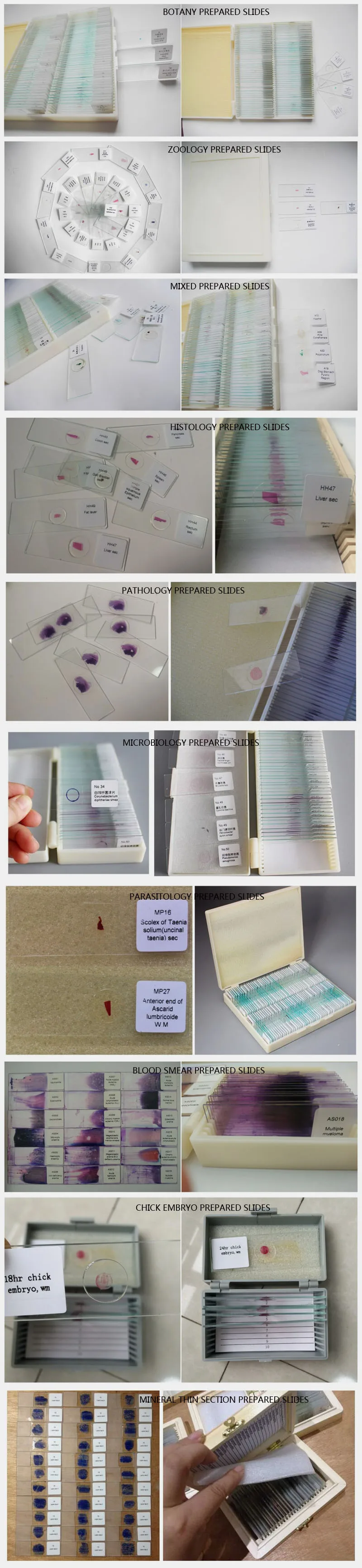 prepared slides