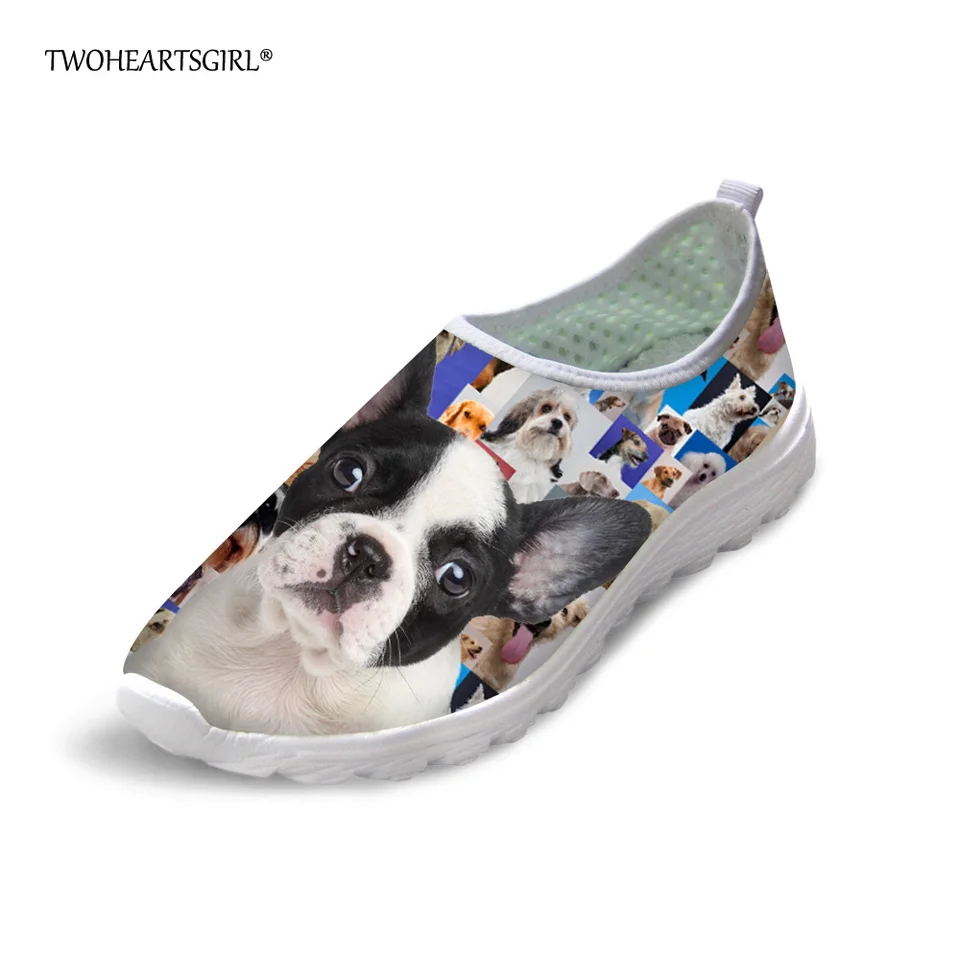 boston terrier flats