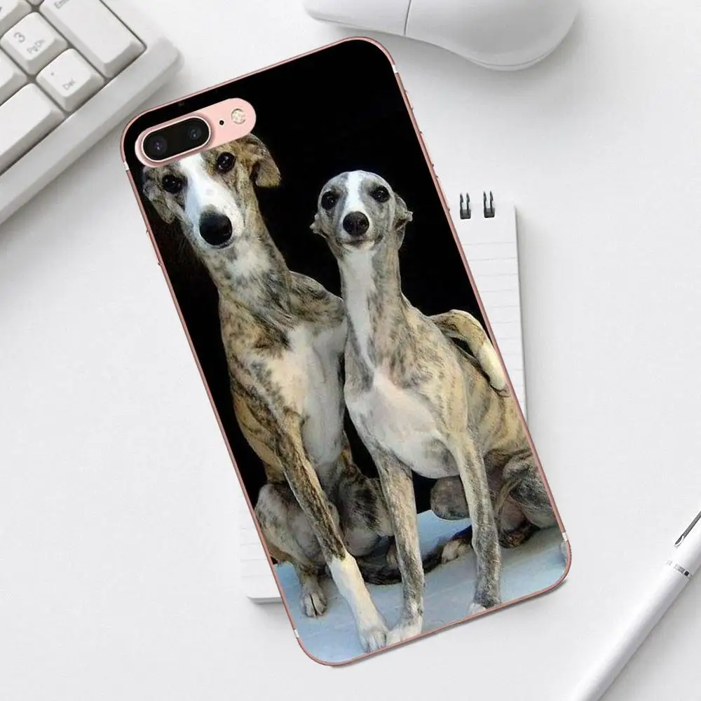 Qdowpz ТПУ для телефона с изображением забавных мультфильмов Galgo собака породы борзая для Galaxy Alpha Core Prime Note 4 5 8 S3 S4 S5 S6 S7 S8 S9 mini edge Plus - Цвет: as picture