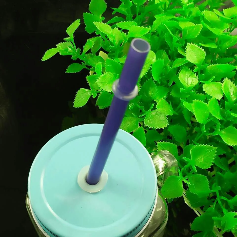 c-purple